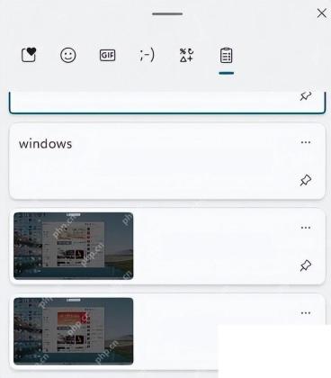 Win11 剪贴板面板中点击图钉固定常用文字