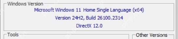 CPU-Z About 页面 Windows Version 区域显示 Windows 11 版本和 Build 构建号