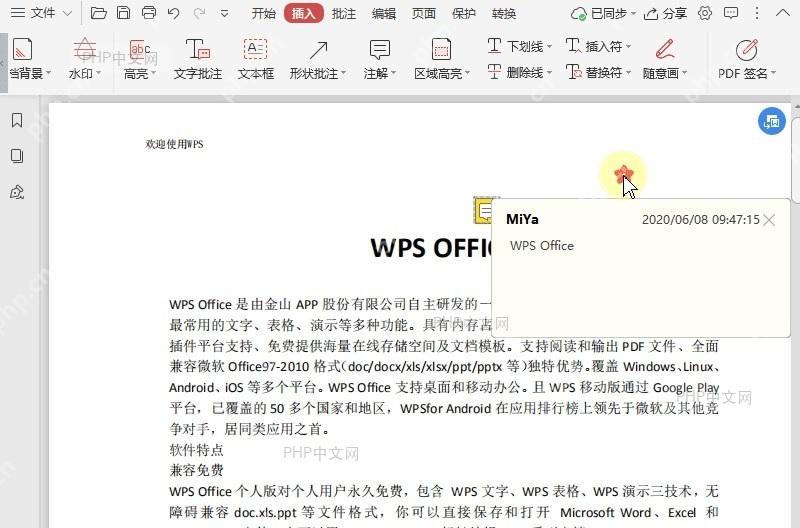 如何在PDF文档中插入注解?结果检查