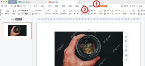 WPS演示中选中图片并出现图片工具选项卡