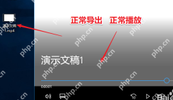 根据播放或留档目的分别选择WPS演示交付格式