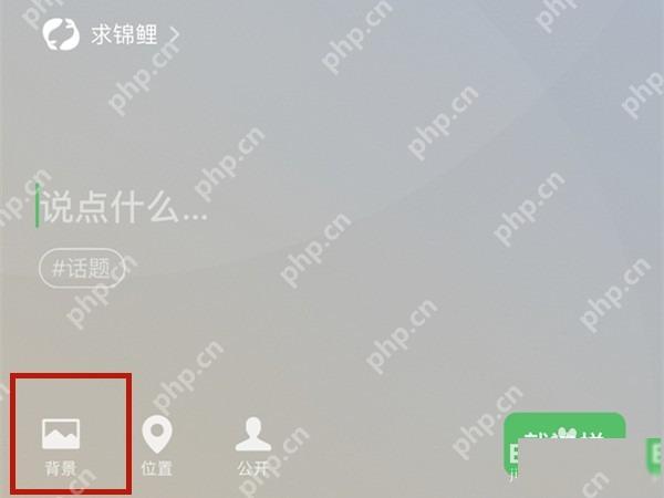 微信状态编辑页背景入口