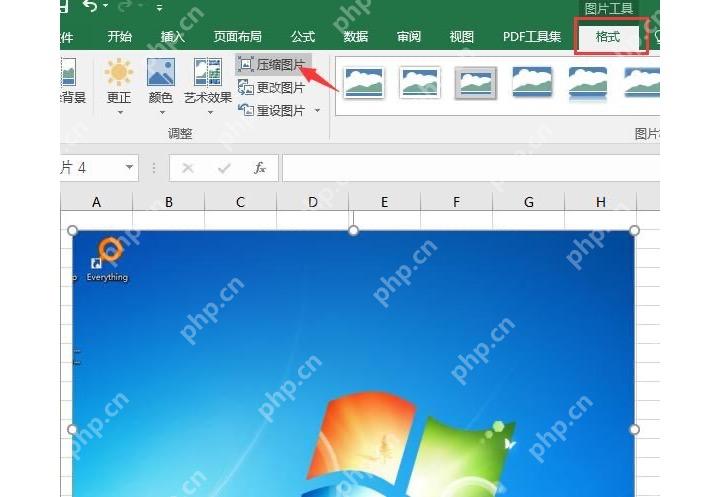 Excel 图片工具格式中点击压缩图片