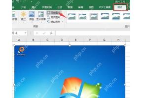 Excel 图片工具格式中点击压缩图片