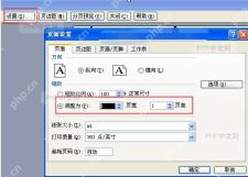 Excel 页面设置中选择调整为指定页宽页高