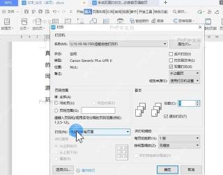 手动双面打印文档 打印奇数页和偶数页设置效果