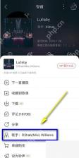 网易云音乐app怎么查看歌手全部专辑步骤图2