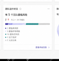 Microsoft Viva Insights 团队运行状态细节用于整理效率瓶颈结论