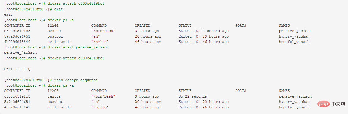 Docker container does not stop exiting