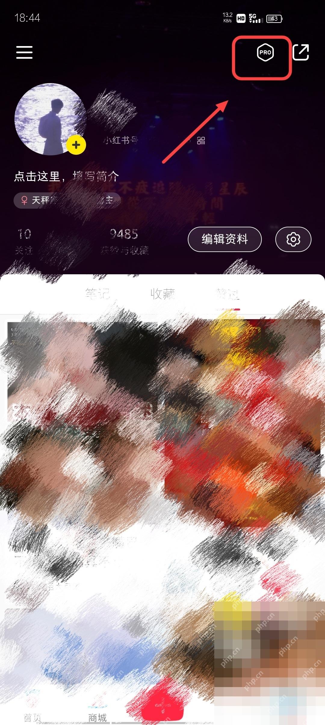 小红书个人主页专业号入口，用于确认挂商品权限前置条件