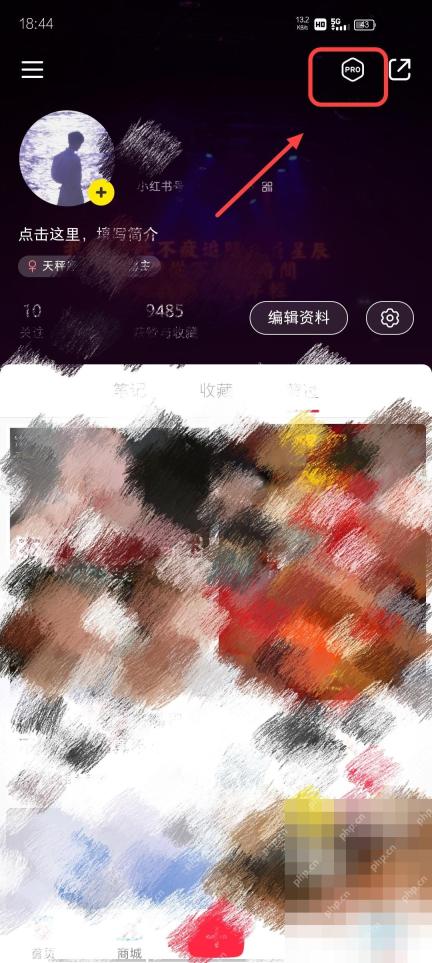 小红书个人主页专业号入口，用于确认挂商品权限前置条件