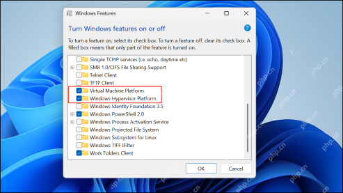 Windows 11 Windows Features 中 Virtual Machine Platform 和 Windows Hypervisor Platform 已勾选