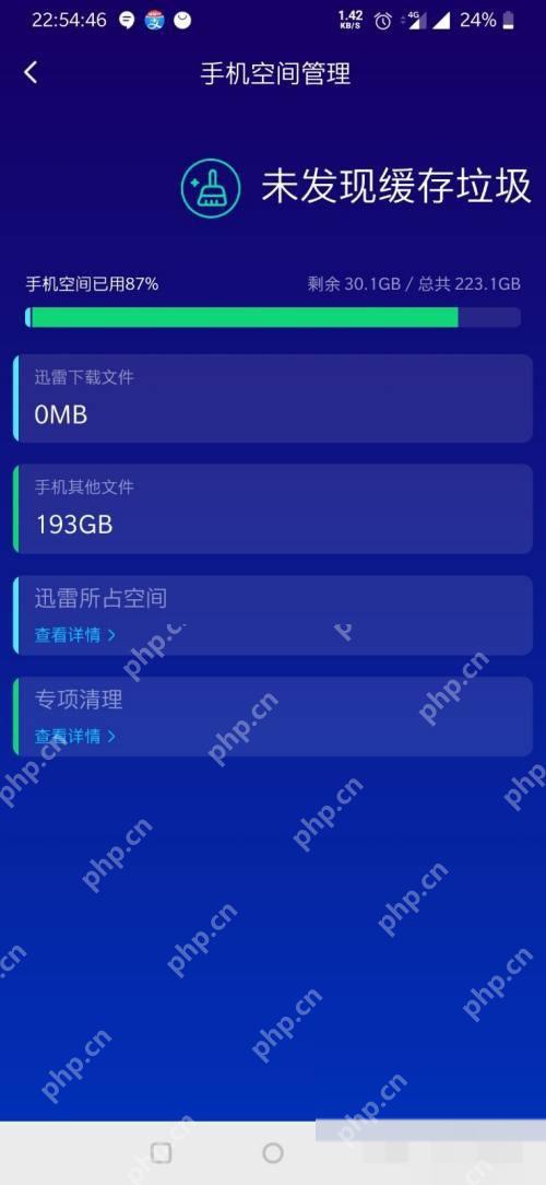 迅雷手机空间管理页面中的下载文件和专项清理选项