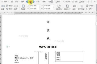 WPS如何设置页面布局的字体类型?中间操作