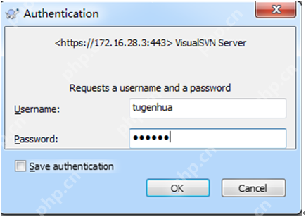 SVN版本控制系统入门指南 - php中文网