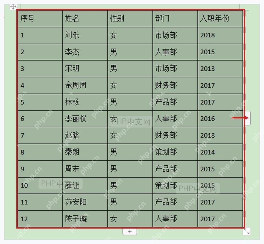 WPS 文字转换成表格后的人员名单表格结果