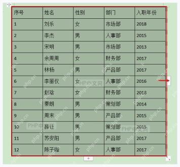 WPS 文字转换成表格后的人员名单表格结果