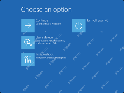 Windows 恢复环境选择疑难解答入口