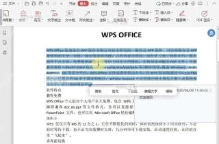 如何设置PDF文档中替换符的颜色？中间操作