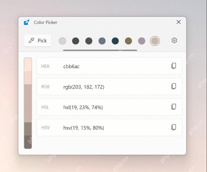 Win11 PowerToys Color Picker 编辑器显示 HEX 和 RGB 色值