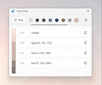 Win11 PowerToys Color Picker 编辑器显示 HEX 和 RGB 色值