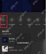 汽水音乐播放队列与顺序播放状态