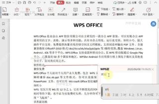 PDF如何在PDF文档的文本后加入插入符？结果检查
