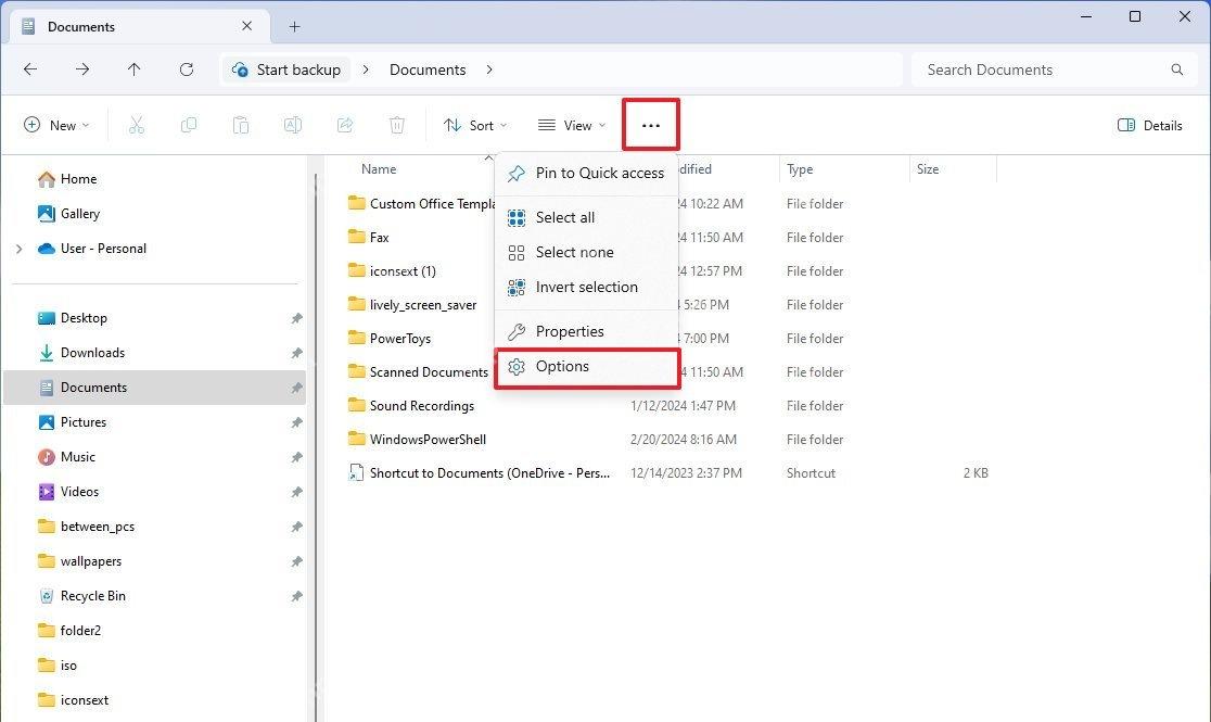 Win11 文件资源管理器三点菜单打开 Options