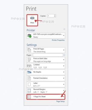 Word 打印窗格中检查页数和每版打印设置