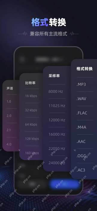 爱音频App选择音频输出格式和参数的界面