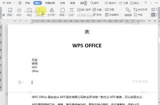 WPS如何在文档中插入竖向文本框?中间操作