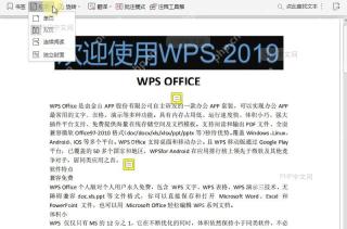PDF在PDF阅读模式下,如何将视图调整为单页?中间操作