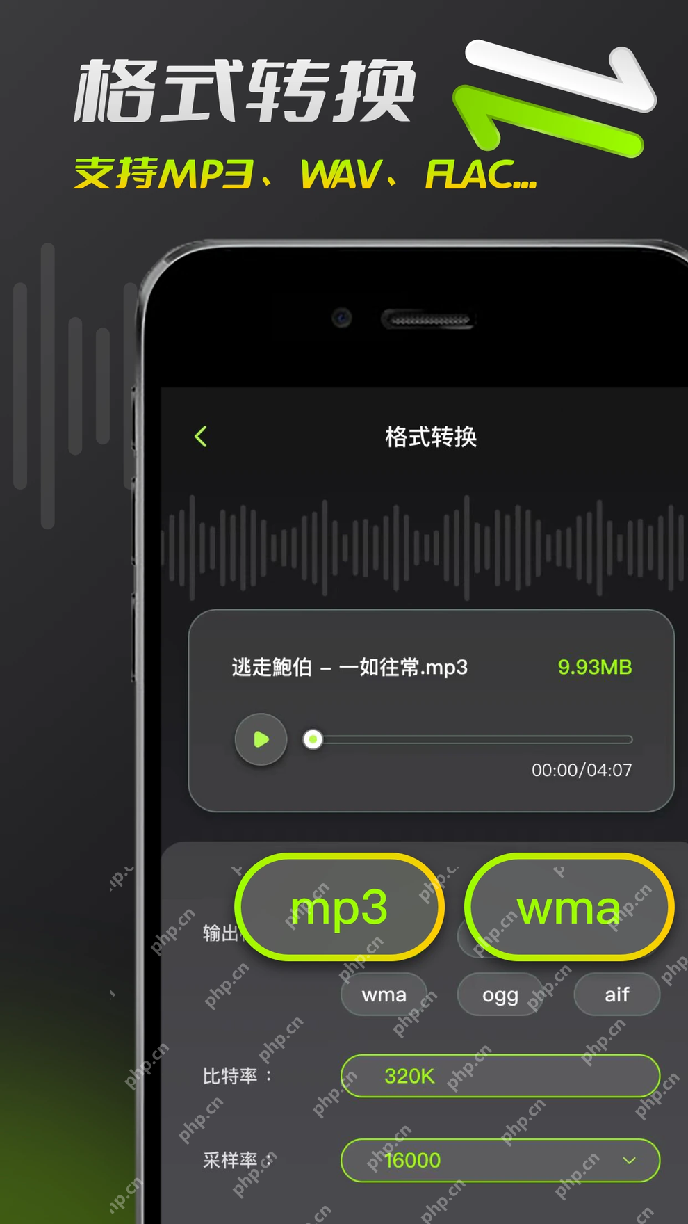 音频剪辑App的音频格式转换中文页面