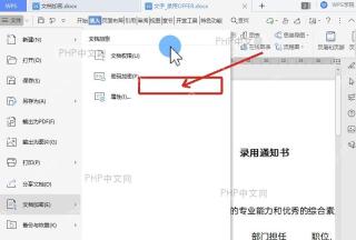 WPS 文档加密菜单中密码加密入口用于第二步选择加密方式