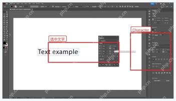 Illustrator 画板中选中准备转轮廓的文字对象