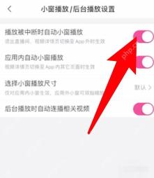 手机哔哩哔哩小窗播放后台播放设置页，红箭头标出播放被中断时自动小窗播放开关