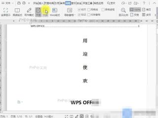 Word在文档大纲视图中如何显示所有文字内容的格式?入口位置