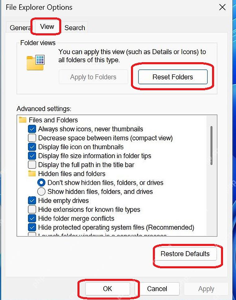 Win11 文件夹选项查看页点击 Reset Folders