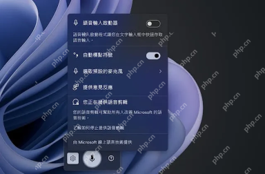 Windows11语音输入怎么开启更快记笔记