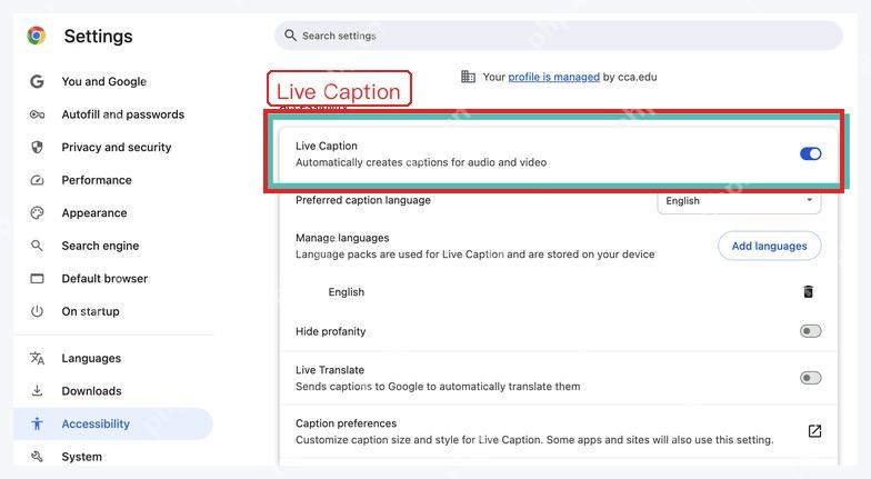 Chrome 无障碍设置中的 Live Caption 开关