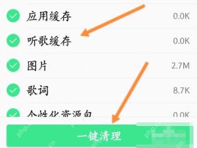 QQ音乐中文手机App清理占用空间页面显示听歌缓存并用箭头指向一键清理,证明选择缓存后执行清理的操作