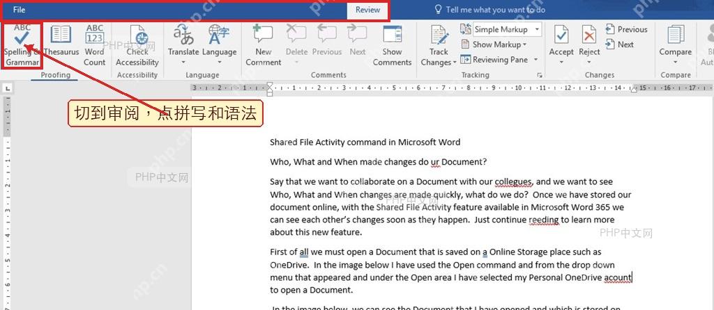 Word 审阅选项卡中的拼写和语法按钮