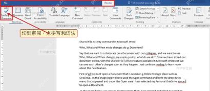 Word 审阅选项卡中的拼写和语法按钮