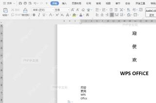 如何撤销文档操作?入口位置
