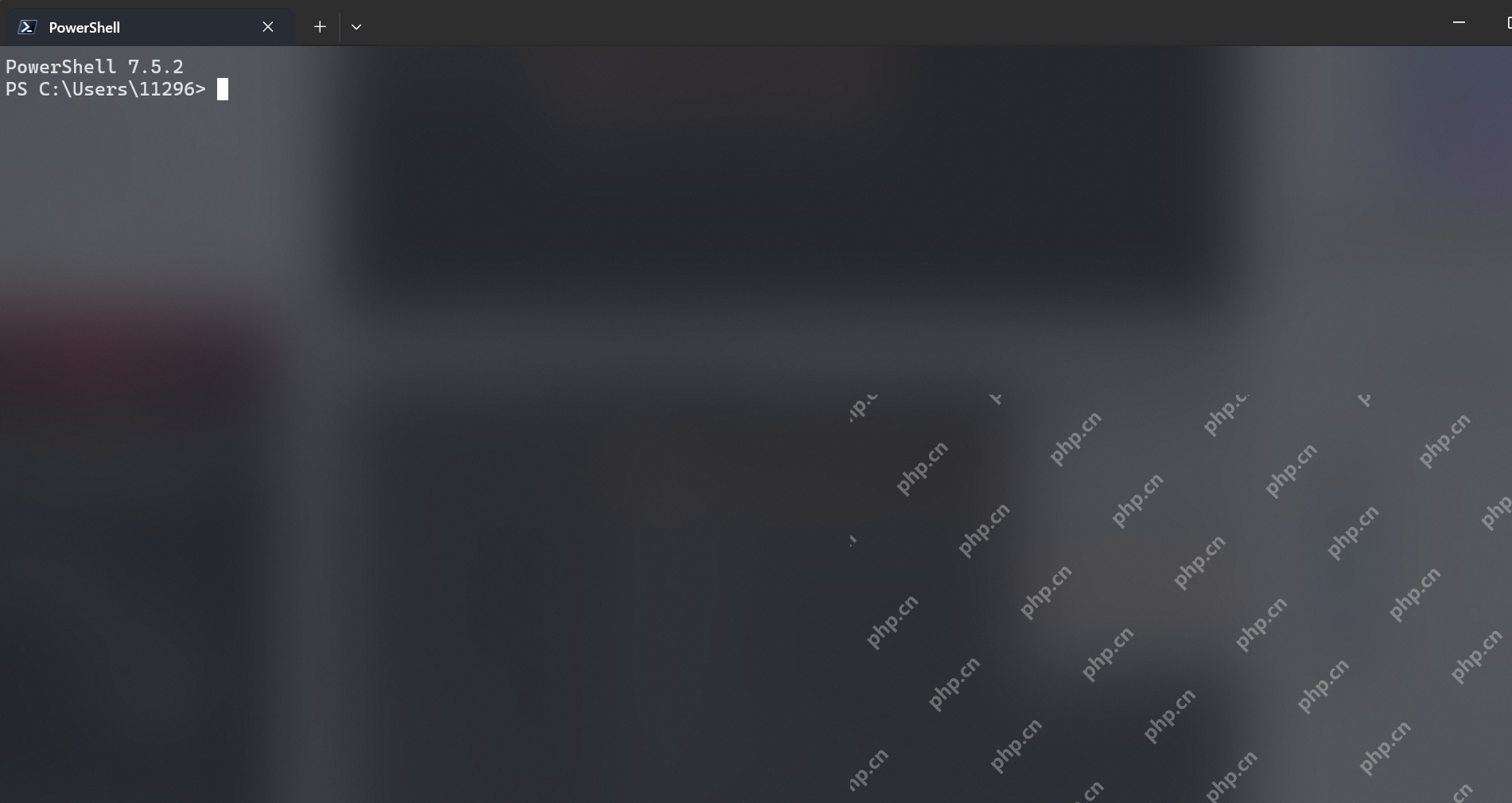 Windows Terminal 窗口中打开 PowerShell 用于确认默认终端已生效