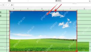Excel 工作表中插入图片后通过边角控制点调整大小和位置