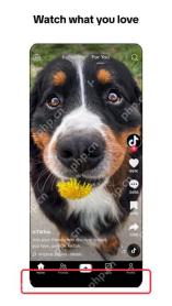 TikTok APP 首页启动界面