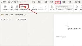 WPS 文字审阅选项卡中的字数统计按钮入口