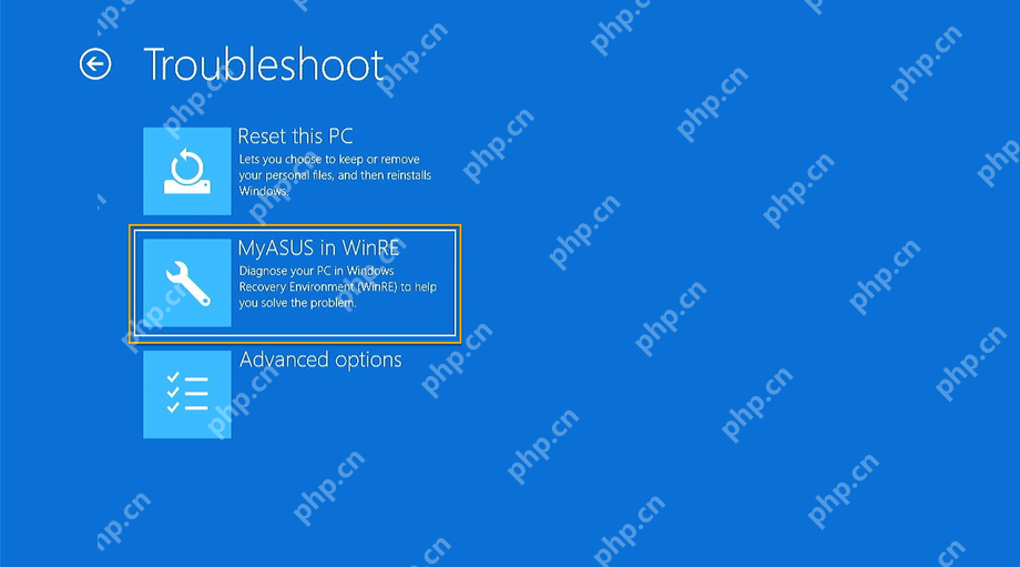 Windows 恢复环境高级选项页面
