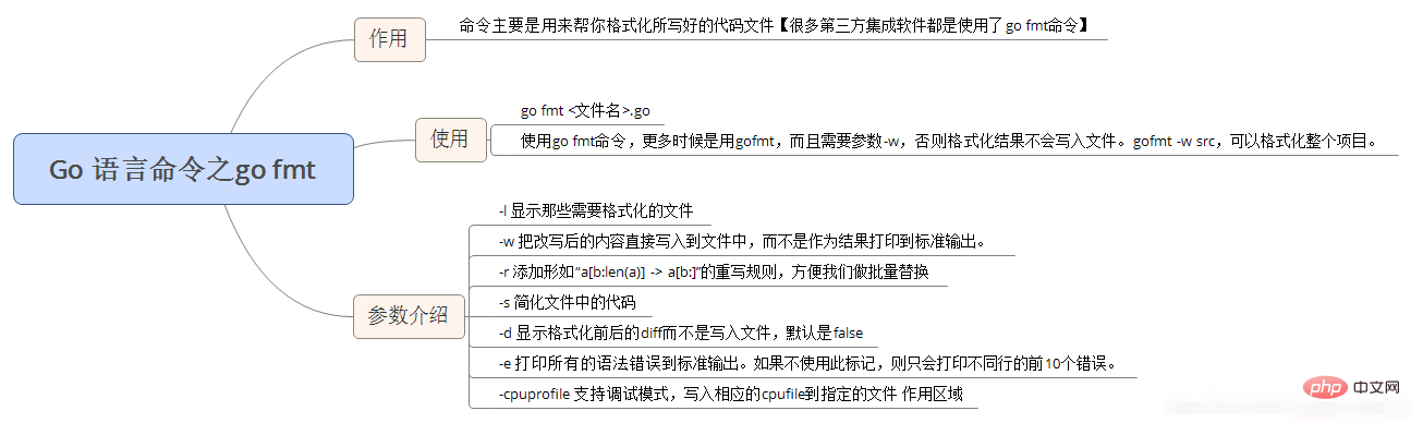 What is the function of go fmt command